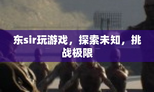 東sir游戲探索，挑戰(zhàn)極限，解鎖未知