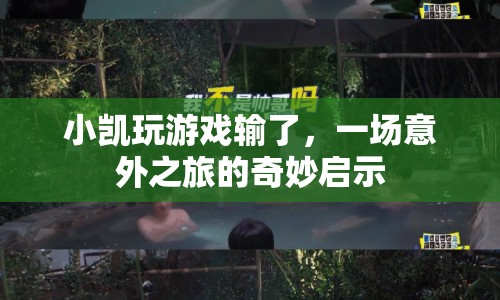 小凱的意外之旅，游戲輸?shù)舻膯⑹? class=