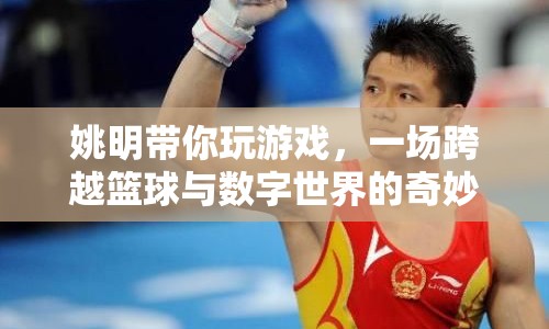 姚明引領(lǐng)，籃球與數(shù)字世界的奇妙碰撞之旅