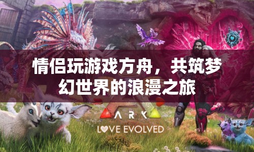 情侶共筑夢幻世界的浪漫之旅，方舟游戲之旅