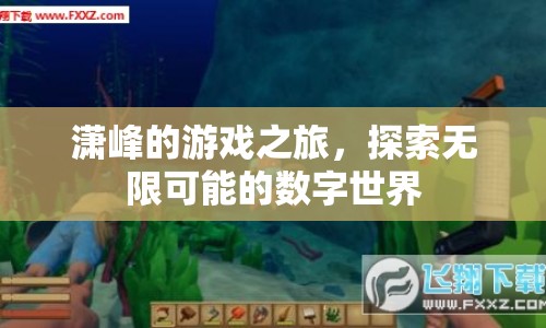 瀟峰的數(shù)字世界探險(xiǎn)之旅，探索無限可能的冒險(xiǎn)