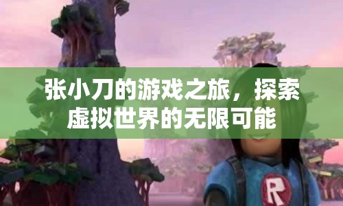 張小刀的游戲之旅，探索虛擬世界的無限可能