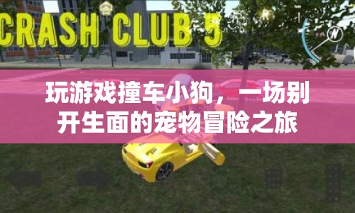 寵物冒險，小狗撞車記