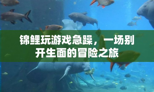 錦鯉的冒險之旅，急躁中的游戲挑戰(zhàn)