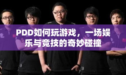 PDD如何玩游戲，娛樂(lè)與競(jìng)技的奇妙碰撞