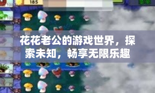 花花老公的游戲世界，探索未知，暢享無限樂趣
