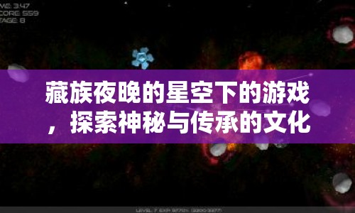 藏族星空下的文化探索之旅
