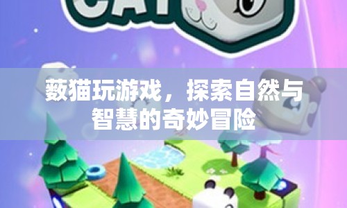 藪貓?zhí)诫U，自然與智慧的奇妙冒險