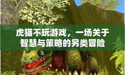 虎貓不玩游戲，智慧與策略的另類冒險之旅