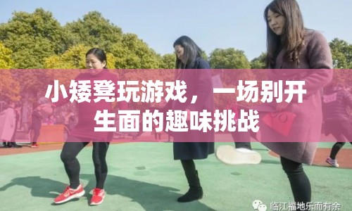 小矮凳玩游戲，趣味挑戰(zhàn)開啟！