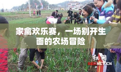 家禽歡樂(lè)賽，農(nóng)場(chǎng)冒險(xiǎn)的盛宴