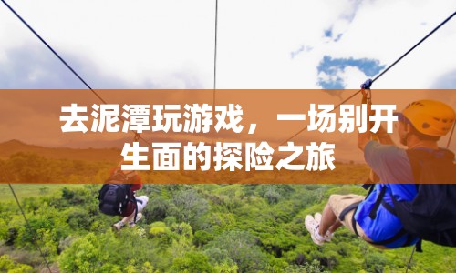 泥潭探險(xiǎn)，一場(chǎng)別開生面的游戲之旅