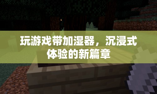 玩游戲帶加濕器，開啟沉浸式體驗新篇章