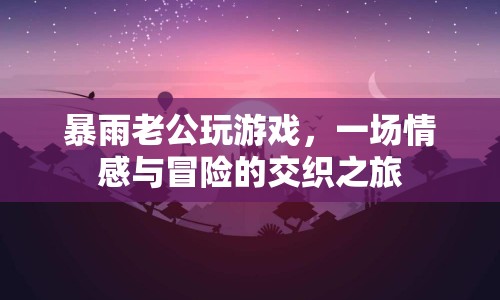 暴雨中的游戲情緣，老公的冒險(xiǎn)與情感交織之旅