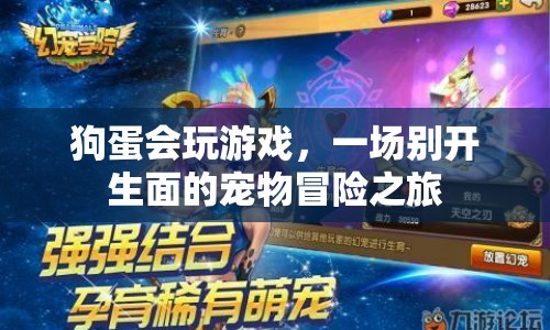狗蛋的寵物冒險(xiǎn)之旅，一場(chǎng)別開生面的游戲盛宴