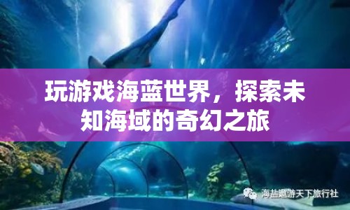探索未知海域，海藍(lán)世界的奇幻之旅