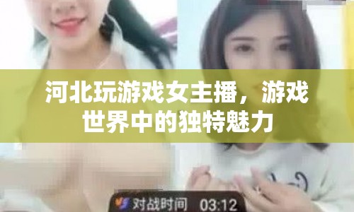 河北女主播，游戲世界中的獨特魅力