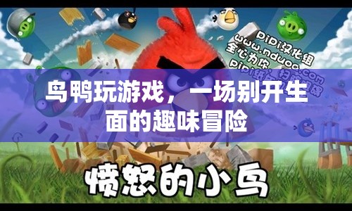 鳥鴨的趣味冒險(xiǎn)之旅