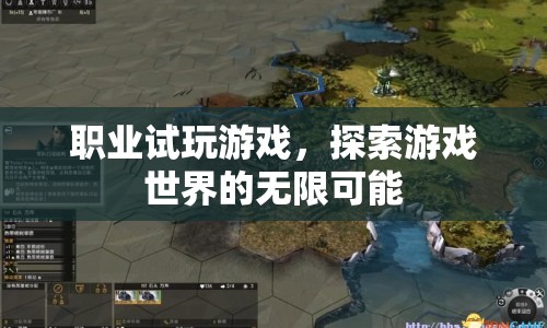 職業(yè)試玩游戲，探索游戲世界的無限可能
