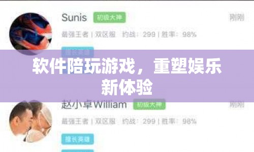 軟件陪玩游戲，重塑娛樂新體驗(yàn)