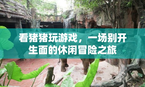 豬豬游戲，一場休閑冒險(xiǎn)之旅