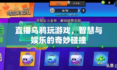 烏鴉直播玩游戲，智慧與娛樂(lè)的奇妙碰撞