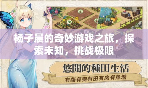 楊子晨的奇妙冒險(xiǎn)，探索未知，挑戰(zhàn)極限