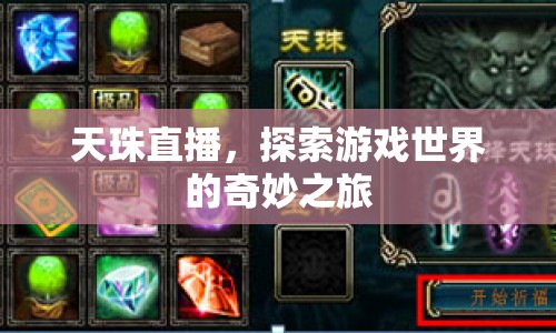 天珠直播，探索游戲世界的奇妙之旅