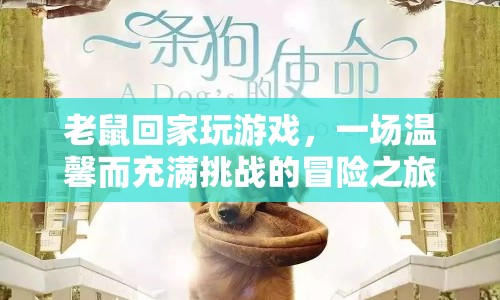 老鼠回家，一場(chǎng)溫馨而充滿挑戰(zhàn)的冒險(xiǎn)之旅