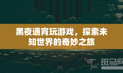 探索未知世界的奇妙之旅，黑夜通宵玩游戲