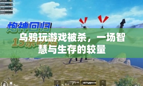 烏鴉因玩游戲被獵殺，智慧與生存的較量