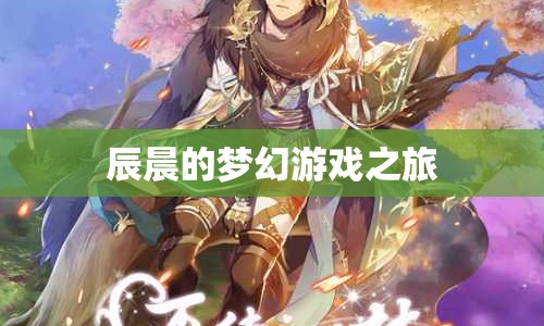辰晨的夢幻游戲之旅，探索未知，挑戰(zhàn)自我  第1張