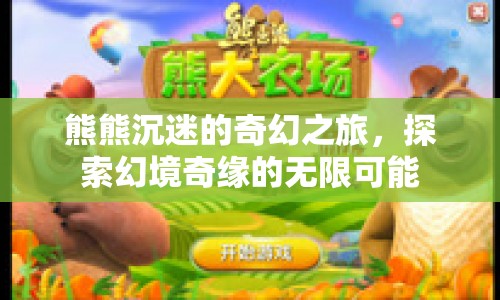 熊熊的奇幻之旅，探索幻境奇緣的無限可能