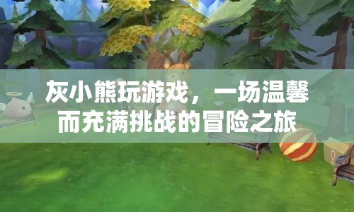 灰小熊的溫馨冒險之旅