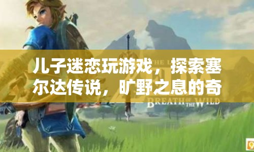 兒子沉迷游戲探索，塞爾達(dá)傳說曠野之息的奇妙世界