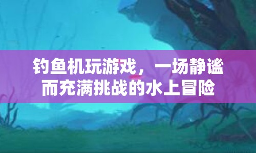 水上冒險，釣魚機挑戰(zhàn)游戲