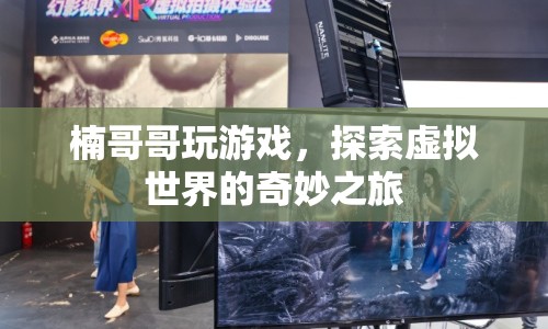 楠哥哥探索虛擬世界的奇妙之旅