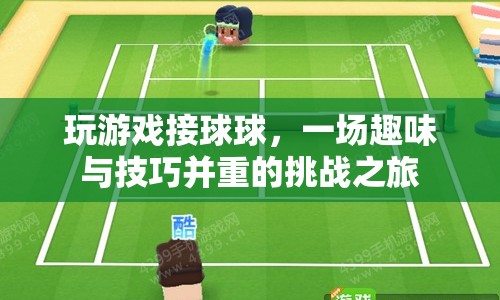 接球球，一場趣味與技巧的挑戰(zhàn)之旅