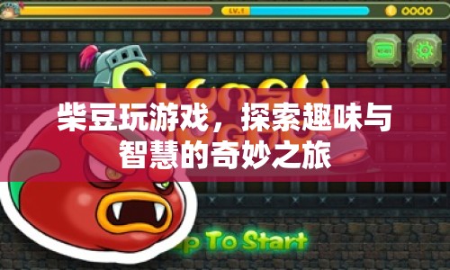 柴豆的奇妙游戲之旅，探索趣味與智慧的融合