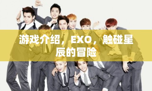 EXO，觸碰星辰的冒險(xiǎn)之旅
