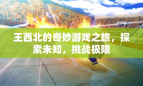 王西北的奇妙冒險，探索未知，挑戰(zhàn)極限