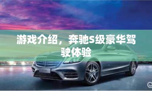 奔馳S級豪華駕駛體驗(yàn)，游戲介紹  第1張
