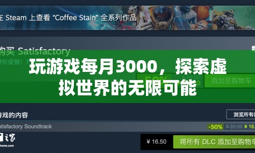 每月3000元，探索虛擬世界的無限可能  第1張