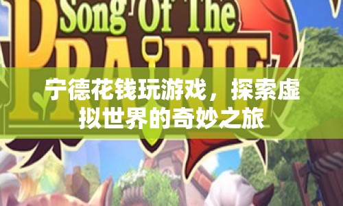 探索虛擬世界的奇妙之旅，寧德玩家游戲消費(fèi)揭秘