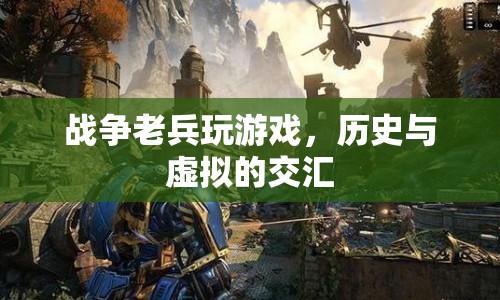 戰(zhàn)爭(zhēng)老兵與虛擬游戲，歷史與虛擬的交匯點(diǎn)  第1張
