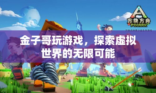 金子哥探索虛擬世界的無(wú)限可能