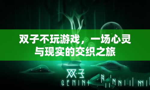 雙子，一場心靈與現(xiàn)實的交織之旅  第1張