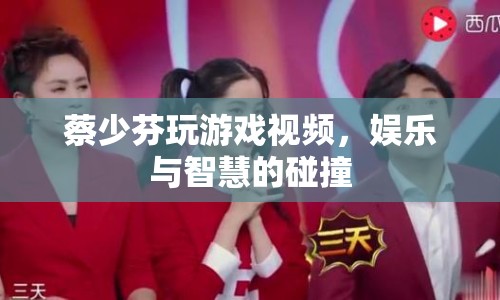 蔡少芬游戲視頻，娛樂(lè)與智慧的碰撞