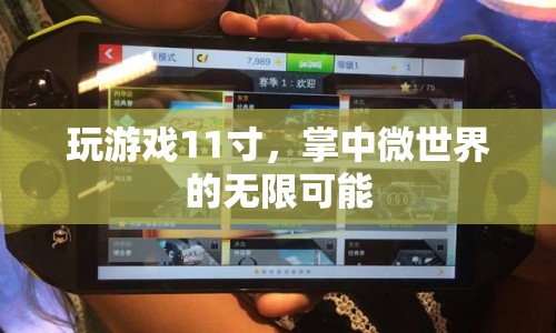11寸掌中微世界，探索游戲世界的無(wú)限可能