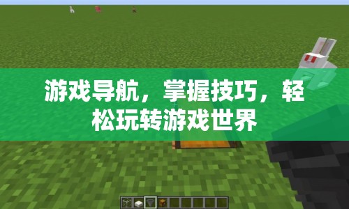 掌握游戲?qū)Ш郊记?，輕松玩轉(zhuǎn)游戲世界